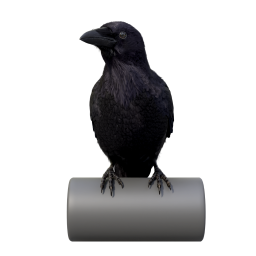 Carrion Crow