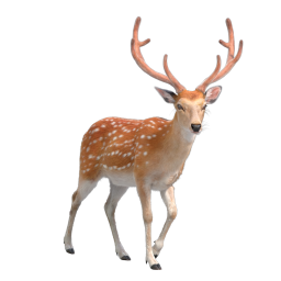 Sika