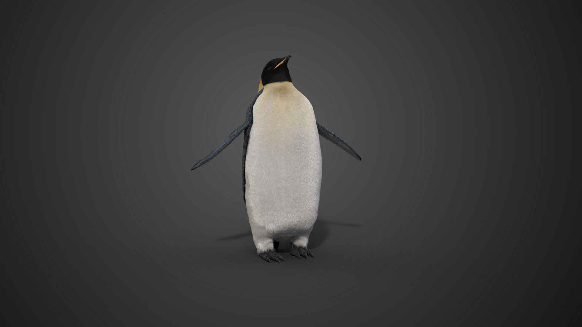 CG Model | Emperor Penguin Animated | VFX Grace