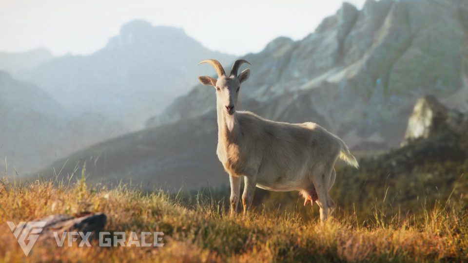 Goat01 - UE Character Asset